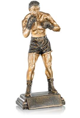 Trophée Boxe 3852535_