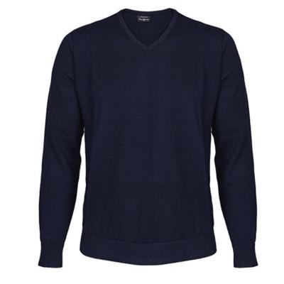 Pull Mérinos <BR>Homme