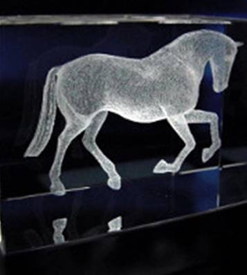 Trophée Cheval 3D