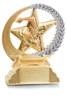 Trophée Natation<br> Homme