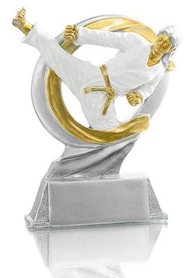 Trophée Karaté 3871414