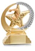 Trophée Natation<br> Homme