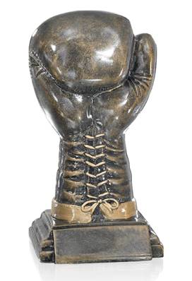 Trophée Boxe 3852536