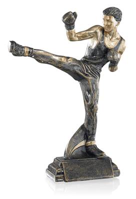 Trophée Boxe 3852558