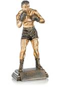 Trophée Boxe 3852535_